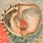 Embryo 1986